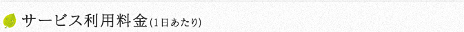 サービス利用料金（1日あたり）