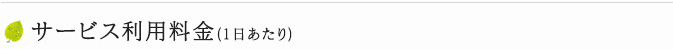 サービス利用料金（1日あたり）